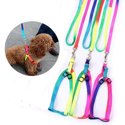 Adjustable Small Pet Dog Rainbow Collar and Leash-KaboodleWorld