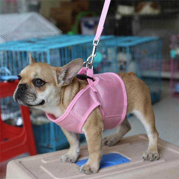 Adjustable Soft Breathable Dog Vest-KaboodleWorld