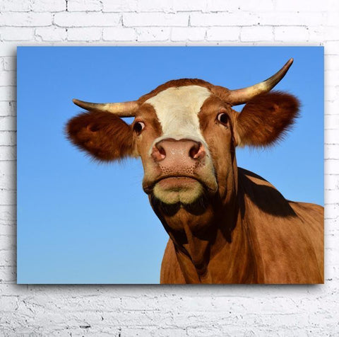Brown Cow Canvas 20" x 16" Wall Art-KaboodleWorld