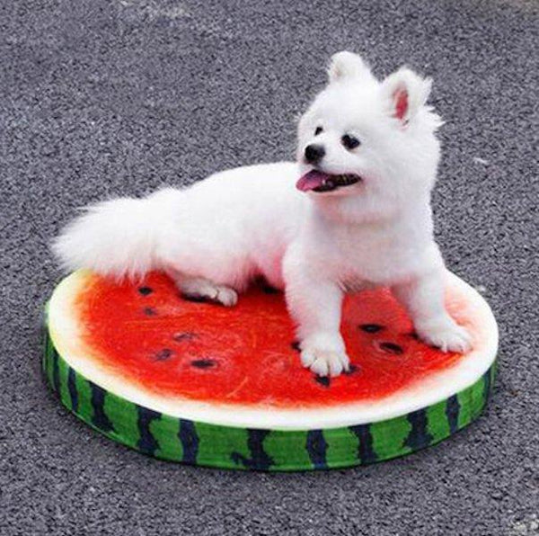 Cute 3D Fruit Dog Cushion Mats Beds-KaboodleWorld