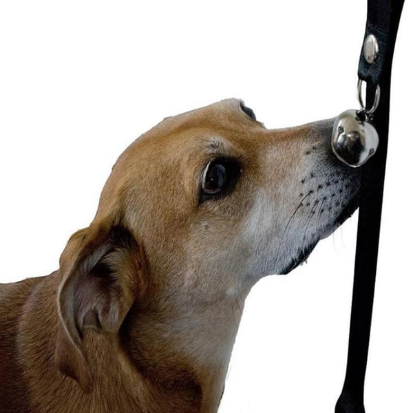 Dog Potty Training Adjustable Doorbell-KaboodleWorld