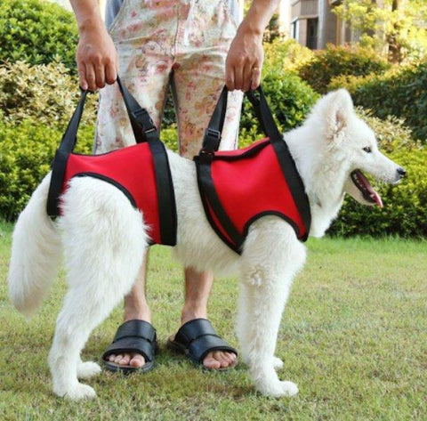 Front and/or Rear Dog Lift Harness With Handle-KaboodleWorld