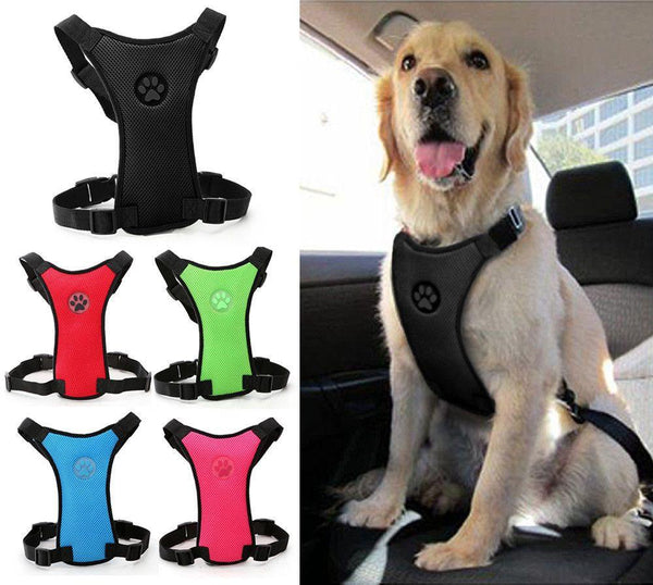 High Quality Soft Mesh Dog Harness-KaboodleWorld
