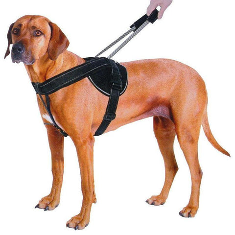 Quick Control Training Harness With Integrated Retractable Handle-KaboodleWorld