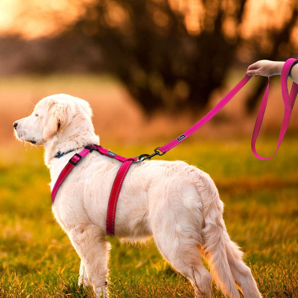 Reflective Adjustable H-Type Dog Harness With Leash-KaboodleWorld