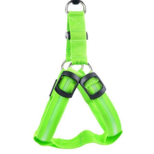 Safety Nylon Dog harness with LED Flashing Light-KaboodleWorld