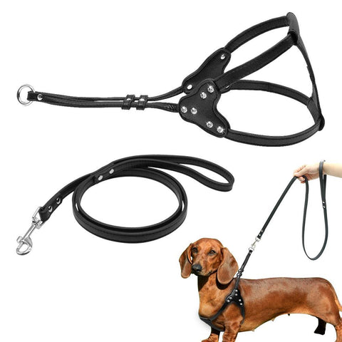 Sturdy Adjustable Rhinestone Dog Harness With Leash-KaboodleWorld