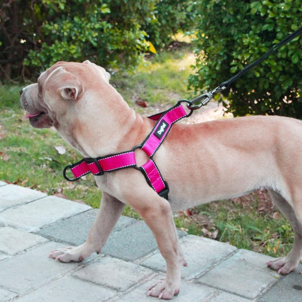 Super Easy On-Off Safe Reflective Dog Harness-KaboodleWorld