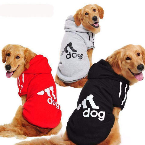 Warm Medium Big Dog Sports Hoodie-KaboodleWorld